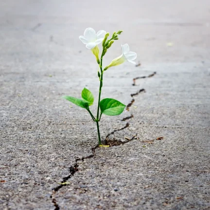 ThinkstockPhotos-475224358-2880w