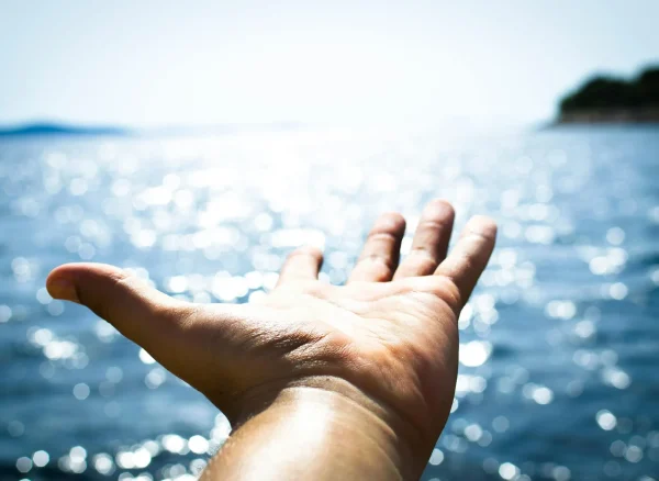 pexels-goumbik-296282-1920w pexels-goumbik-296282-1920w