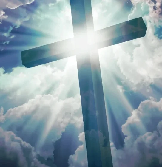 Picture1 (1) Picture1 (1)